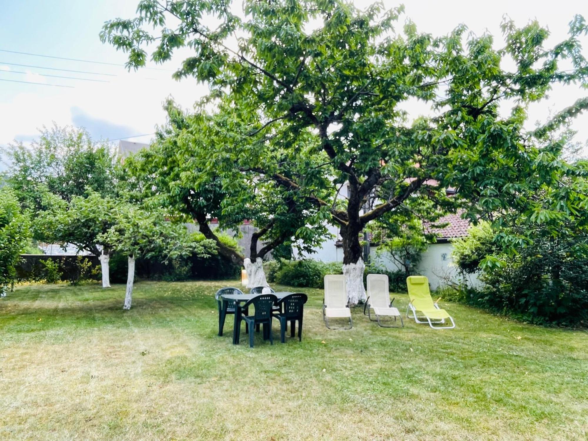 L'Ecureuil Lägenhet Gérardmer Exteriör bild